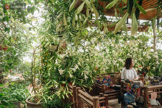 Forest drone on the terrace of the Hanoi woman: 200m2 wide, 1,500 lilies covered - Photo 8.