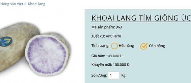  Khuyến mãi sâu, khoai lang tím Úc vẫn có giá 100.000 đồng/kg  - Ảnh 3.