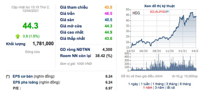 Hà Đô (HDG) tái cấu trúc mảng năng lượng, đặt kế hoạch đi ngang trong năm 2021 - Ảnh 4.