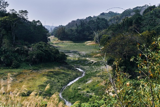 Nước, bán dẫn và nông dân - Ảnh 2.