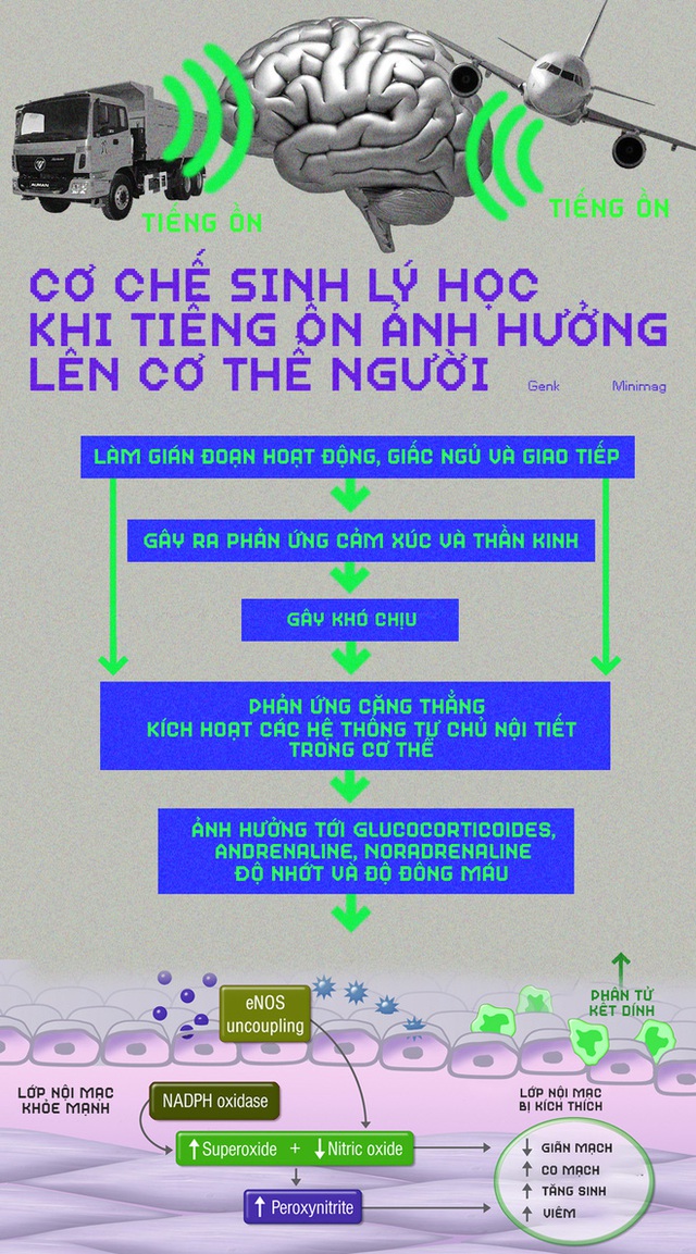 Ô nhiễm tiếng ồn: Sát nhân thầm lặng bên trong các thành phố - Ảnh 6.