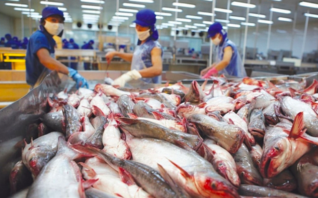 Dự báo xuất khẩu thủy sản sang Trung Quốc tháng 4 và những tháng tới sẽ hồi phục mạnh hơn