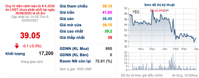 Lỗ luỹ kế hơn 219 tỷ đồng, Yeah1 (YEG) tiếp tục trình kế hoạch dùng thặng dư vốn xoá lỗ - Ảnh 2.