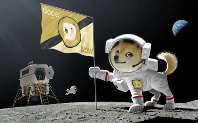 Ngược sóng thị trường, Dogecoin "một mình một phách" khi tiền số lao đao