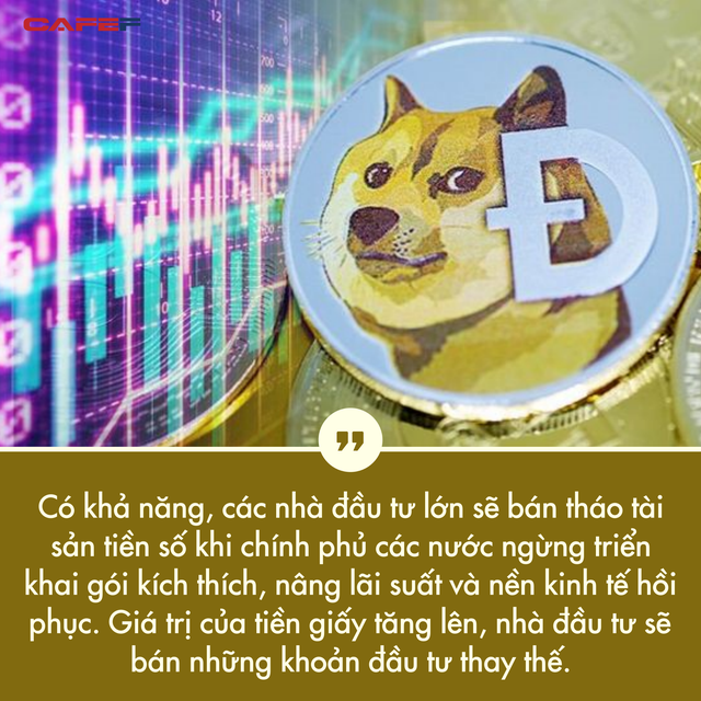 Tỷ suất sinh lời đạt hơn 8.000% từ đầu năm đến nay, bong bóng Dogecoin khi nào vỡ?  - Ảnh 4.