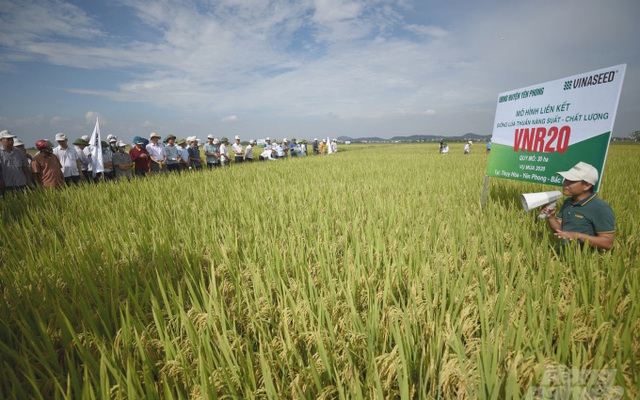 Tăng bán sản phẩm bản quyền, Vinaseed (NSC) lãi quý 1 cao gấp đôi cùng kỳ