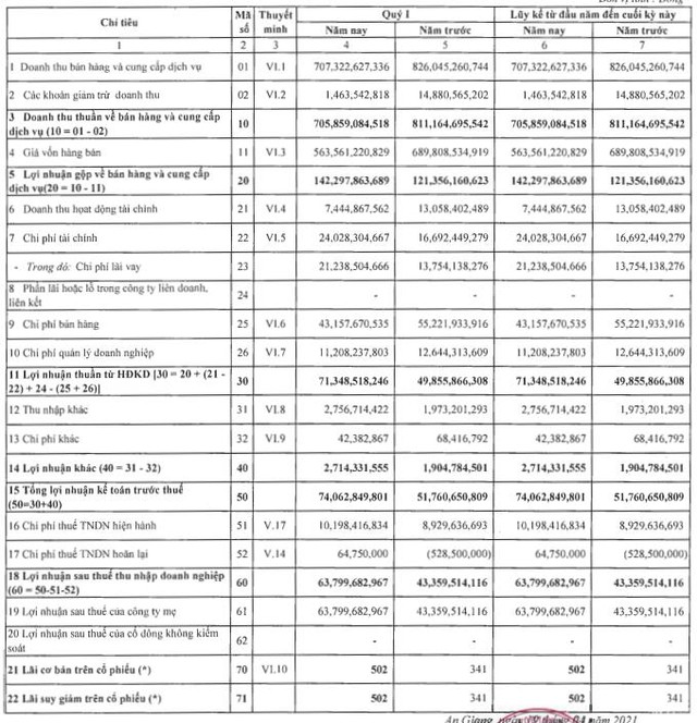 Navico (ANV): Sản xuất điện mặt trời có hiệu quả, lãi quý 1 tăng 49% so với cùng kỳ 2020 - Ảnh 1.