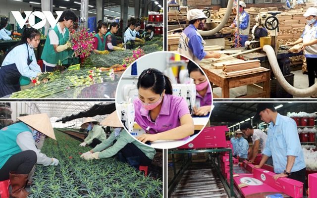  Lao động di cư ảnh hưởng đến tái cơ cấu kinh tế Việt Nam  - Ảnh 1.