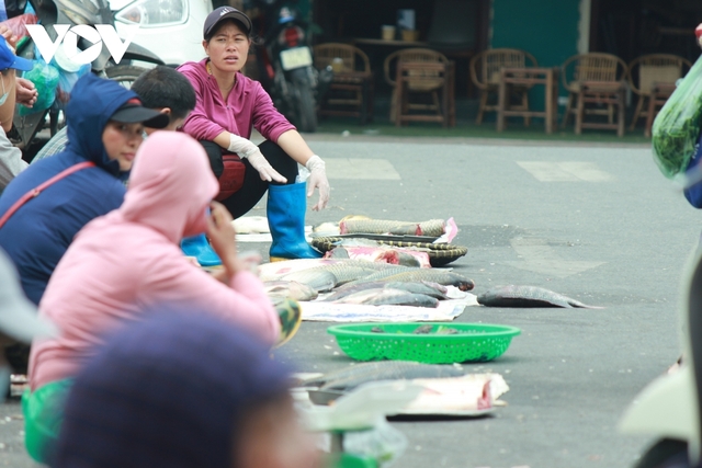 Nhan nhản chợ cóc chiếm dụng lòng đường trên nhiều tuyến phố Hà Nội - Ảnh 5.