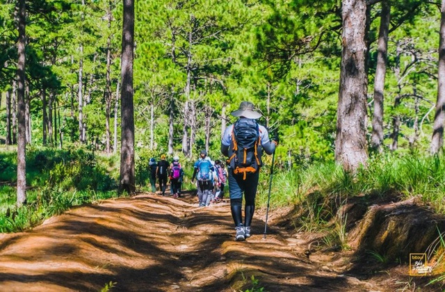 Kỹ năng sinh tồn cần thuộc lòng dù bạn đi du lịch dài ngày hay chỉ camping 1 ngày - Ảnh 17.