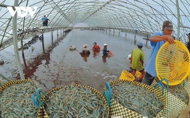 Giá thức ăn thủy sản và chăn nuôi tăng cao khiến doanh nghiệp thêm lao đao  - Ảnh 1.