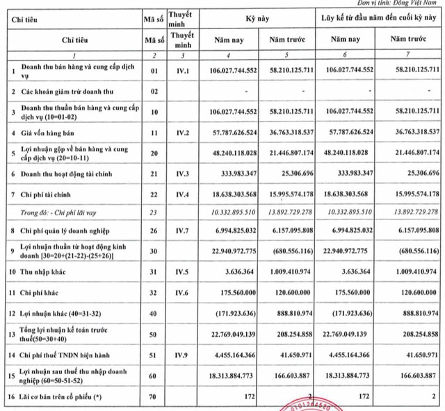 Phát triển Điện lực Việt Nam (VPD): Quý 1 lãi 18 tỷ đồng, tăng mạnh so với cùng kỳ - Ảnh 1.