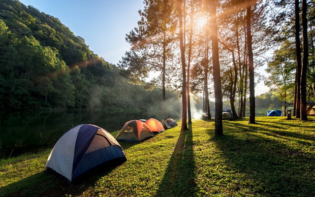 Đi camping hay là du lịch nhất định phải thuộc lòng những kỹ năng sơ cứu này