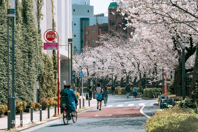 Siêu ngây ngất cảnh tượng toàn thủ đô Tokyo bao trùm dưới hàng trăm nghìn cây hoa anh đào bởi hiện tượng nở sớm nhất trong 1.200 năm - Ảnh 12.