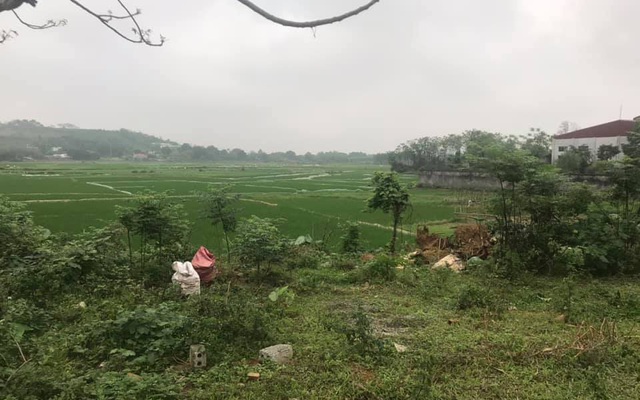 Đất "view cánh đồng" ở Hòa Bình được môi giới rao bán trong cơn sốt đất hiện nay (ảnh Nguyễn Dũng)