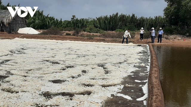 Nghề làm muối ở Bến Tre “bỏ thì thương, vương thì tội” - Ảnh 1.