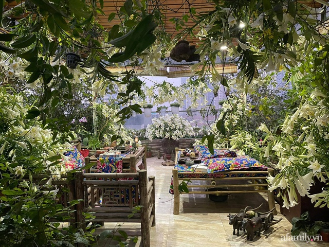 Sân thượng được phủ kín 3500 bông loa kèn của mẹ đảm ở Hà Đông, Hà Nội - Ảnh 10.