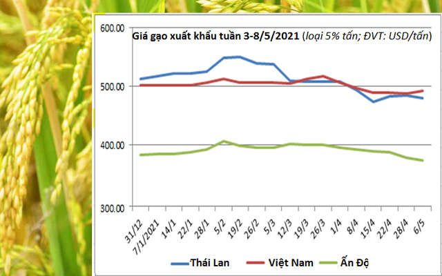 Giá gạo Châu Á hạ nhiệt, ngoại trừ gạo Việt Nam