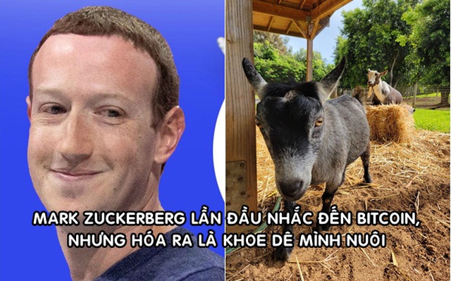 Mark Zuckerberg khoe ảnh nuôi dê, đặt tên là Bitcoin: Hút hơn 400.000 lượt thích sau hơn 3 giờ đăng tải
