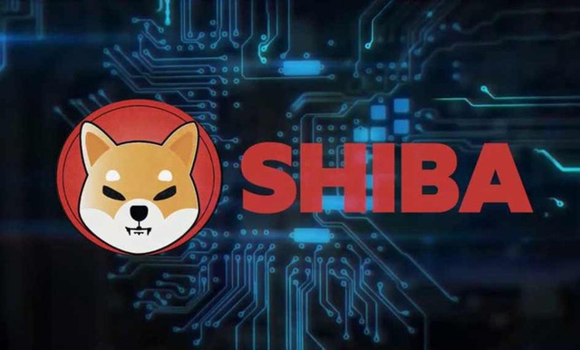 Nhà sáng lập Ethereum vừa “tự hủy” 410 nghìn tỷ đồng tiền Shiba Inu, tương đương hơn 7 tỷ USD bị ném qua cửa sổ - Ảnh 2.