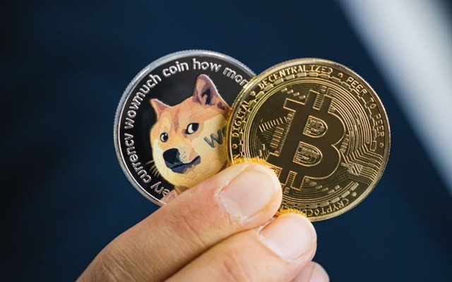 Từ Bitcoin đến Dogecoin: Động lực thực sự thúc đẩy đà tăng là gì và đâu là tương lai của thị trường tiền số?