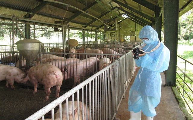 Thu hút đầu tư vào nông nghiệp: Bài học từ thủ phủ chăn nuôi Đồng Nai
