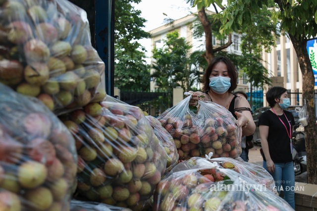 Người Hà Nội đội nắng nóng, nườm nượp chung tay giải cứu vải Bắc Giang hỗ trợ người dân vùng dịch - Ảnh 3.