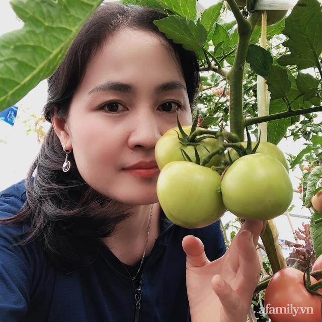 Sân thượng 100m² xanh tươi rau quả sạch của mẹ đảm ở Đà Nẵng - Ảnh 4.