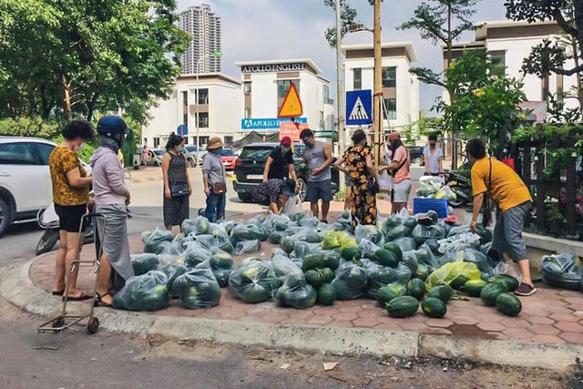 Xuyên đêm giải cứu dưa hấu từ vùng dịch Bắc Giang - Ảnh 9.