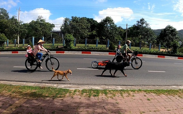 Bán hết tài sản, cặp vợ chồng Vũng Tàu đạp xe chở 2 con nhỏ đi phượt khắp Việt Nam