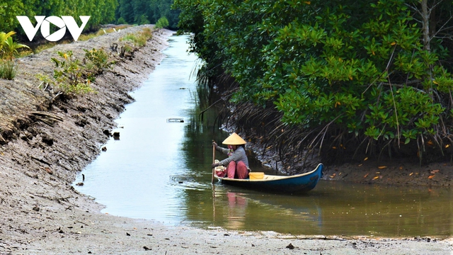 “Tôm khô Rạch Gốc” làm không đủ bán - Ảnh 1.