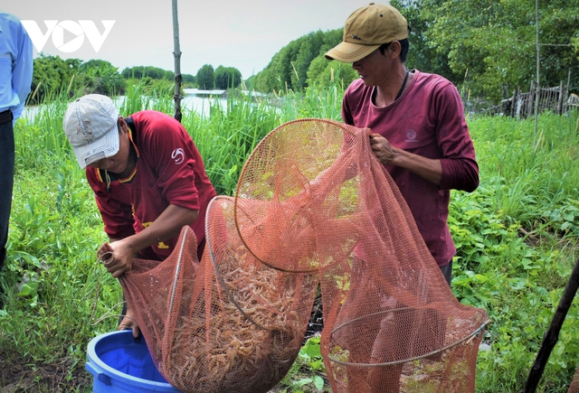 “Tôm khô Rạch Gốc” làm không đủ bán - Ảnh 12.