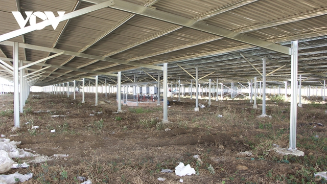  Vẽ dự án điện mặt trời trên mái trang trại ở Gia Lai: Hơn 300 dự án vi phạm  - Ảnh 1.