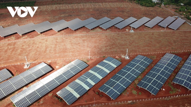  Vẽ dự án điện mặt trời trên mái trang trại ở Gia Lai: Hơn 300 dự án vi phạm  - Ảnh 2.