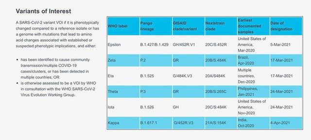 WHO đề nghị thay đổi cách gọi biến chủng Anh, Ấn Độ để tránh kì thị - Ảnh 2.