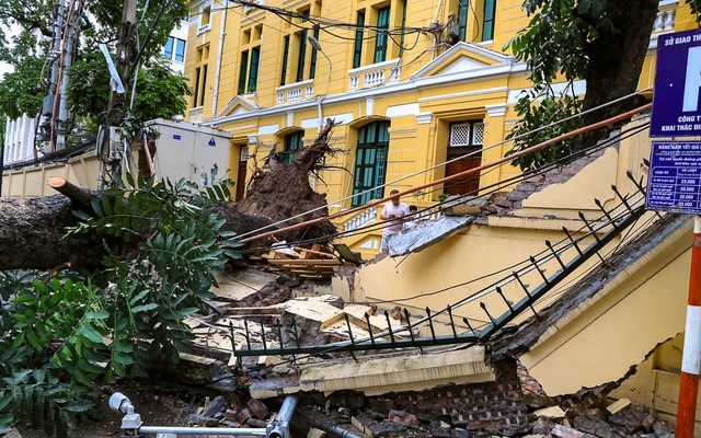 Hà Nội: Cây lớn bật gốc đè sập tường, chắn ngang phố Hoả Lò