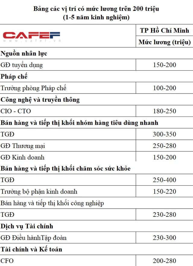 Các vị trí việc làm có mức lương trên 200 triệu ở Việt Nam - Ảnh 1.