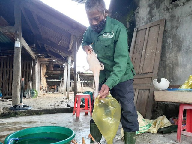  Bị phong tỏa, làng vịt nổi tiếng nhất Hà Tĩnh vắng khách ngày Tết Đoan Ngọ  - Ảnh 9.