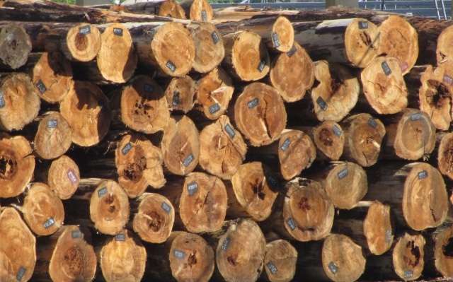 Nhập khẩu gỗ Việt Nam trong 4 tháng đầu năm tăng mạnh so với cùng kỳ. Ảnh: Agriculture
