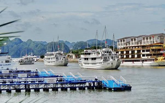 240 chủ tàu tại Quảng Ninh bên bờ phá sản xin giãn nợ
