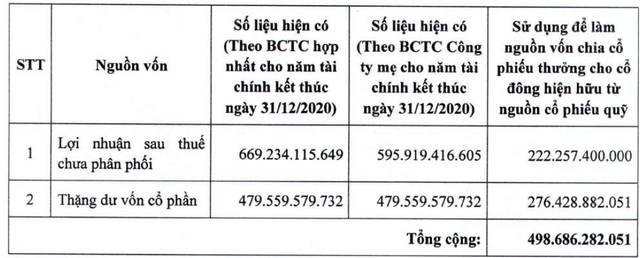 Năm Bảy Bảy (NBB) dùng 22 triệu cổ phiếu quỹ trị giá gần 500 tỷ đồng chia cho cổ đông - Ảnh 2.