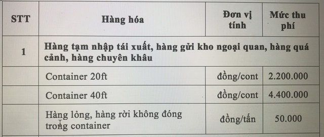  Nóng: UBND TP HCM đề nghị hoãn thu phí hạ tầng cảng biển  - Ảnh 2.