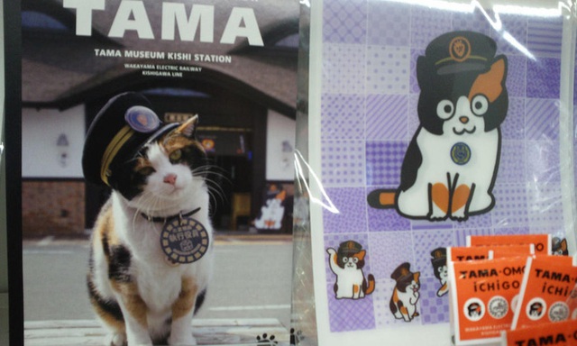 Chỉ nhờ một cô mèo hoang, công ty Nhật Bản lãi to 280 tỷ, thoát khỏi cảnh phá sản trong gang tấc - Ảnh 10.