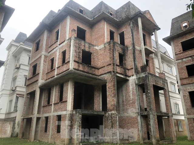  Điểm mặt các khu biệt thự triệu đô bỏ hoang ở Hà Nội trước đề xuất đánh thuế  - Ảnh 11.