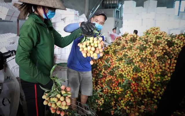 Bắc Giang thành công trong tiêu thụ vải thiều bất chấp COVID-19