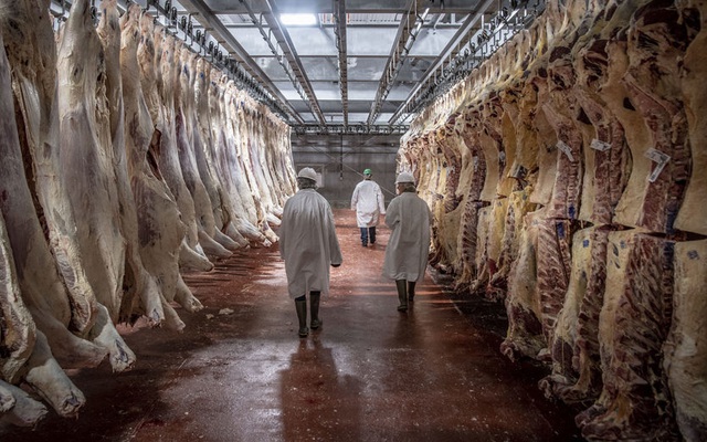 Mã độc tấn công vào công ty chế biến thịt lớn nhất thế giới