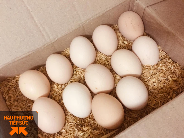 Anh nông dân tặng 12.000 quả trứng của gà nuôi bằng thảo dược, nghe nhạc Mozart cho y bác sĩ Bắc Giang - Ảnh 2.