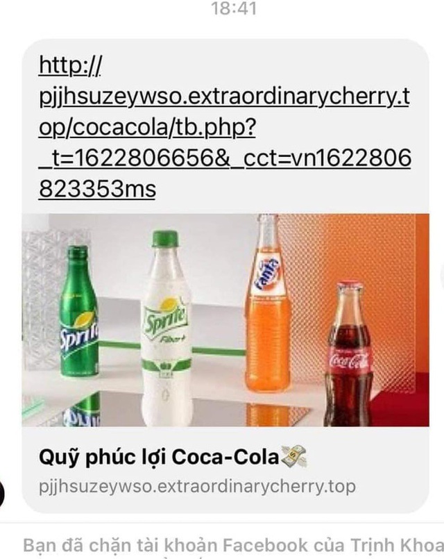 Cảnh báo: Xuất hiện đường link giả mạo Quỹ phúc lợi Coca-Cola trên Facebook, nhiều người dùng sập bẫy, tài khoản bị bốc hơi - Ảnh 6.