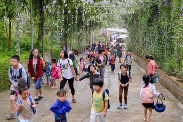 3 ngôi trường liên cấp đặc biệt ở Hà Nội - nơi trẻ được vẫy vùng giữa thiên nhiên, thoát khỏi gánh nặng điểm số: Hạnh phúc là tiêu chí giáo dục quan trọng nhất! - Ảnh 2. 3 ngôi trường liên cấp đặc biệt ở Hà Nội - nơi trẻ được vẫy vùng giữa thiên nhiên, thoát khỏi gánh nặng điểm số: Hạnh phúc là tiêu chí giáo dục quan trọng nhất! - Ảnh 2.