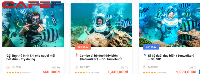 CEO Namaste từ chối 1 triệu USD của Shark Bình với tuyên bố chỉ nhân 3 tài sản: Nhưng số liệu có hoành tráng như công bố? - Ảnh 2.